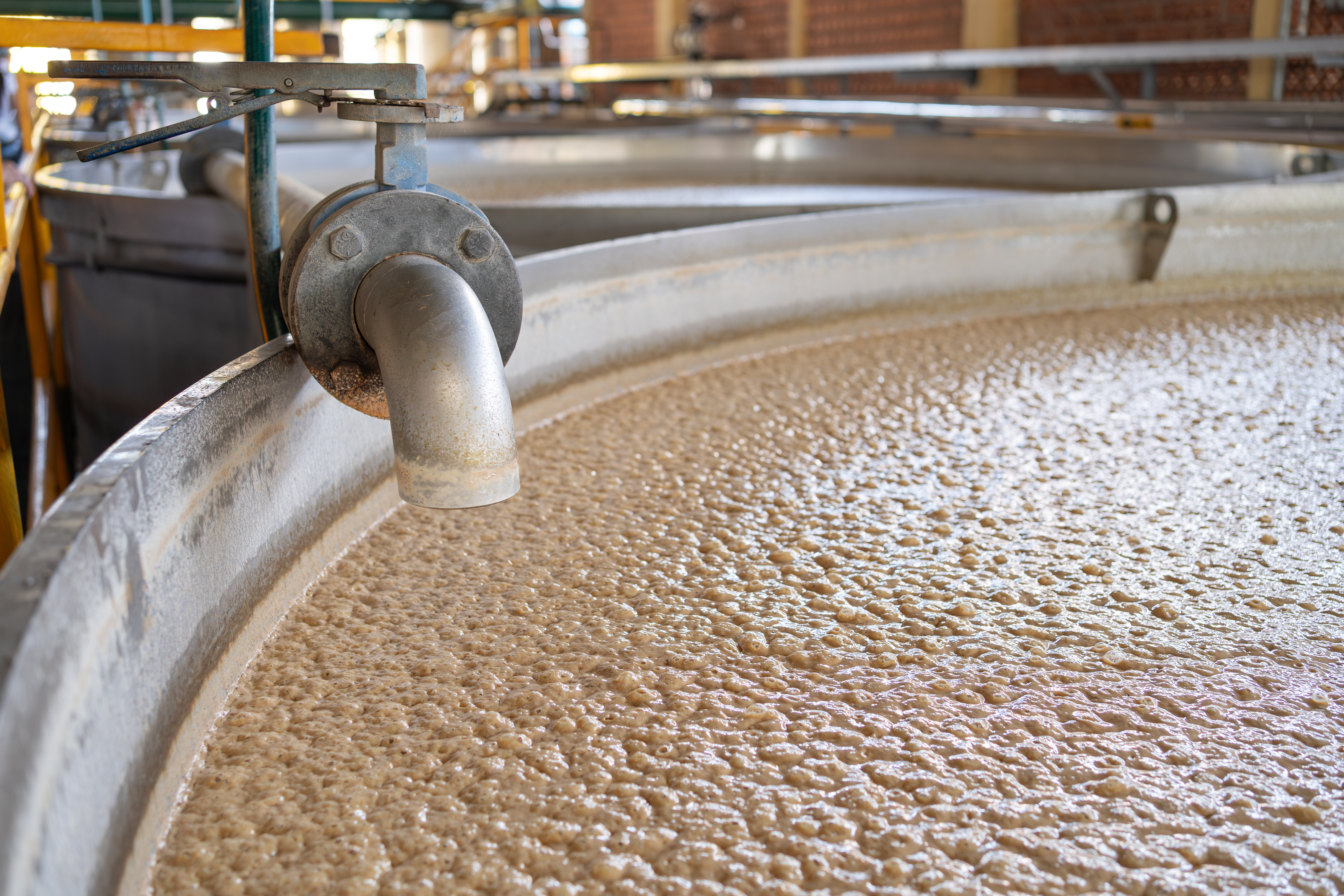 Fermentación